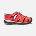 Keen | Online Outlet Big Kids' Newport Neo H2-Orange/Vivid Blue