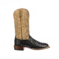 Lucchese | Men's Haan - Black + Pearl Bone | Special Offer