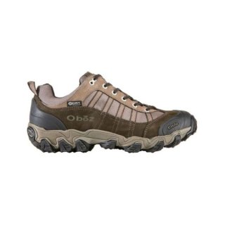 Oboz | New Arrivals Men's Tamarack Low Waterproof-Bungee