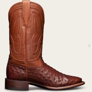 Men's Tecovas The Emmitt-Mahogany Ostrich | Special Offer