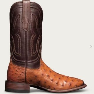 Men's Tecovas The Emmitt-Pecan Ostrich | Special Offer