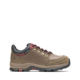 WOLVERINE | LATEST WOMEN'S GRAYSON STEEL TOE SHOE-Gravel