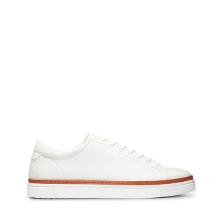 WOLVERINE | LATEST MEN'S BLVD LOW SNEAKER-White